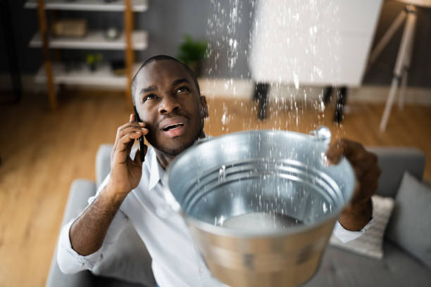 Best 24-hour water damage restoration  in Spring Valley, NV