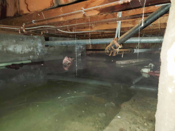 Best Water damage restoration near me  in Spring Valley, NV