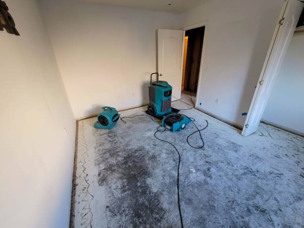 Water damage restoration process in Spring Valley, NV