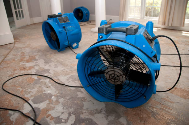 Best Local water damage restoration  in Spring Valley, NV