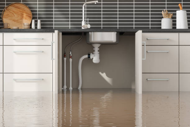 Best Flooded house restoration  in Spring Valley, NV